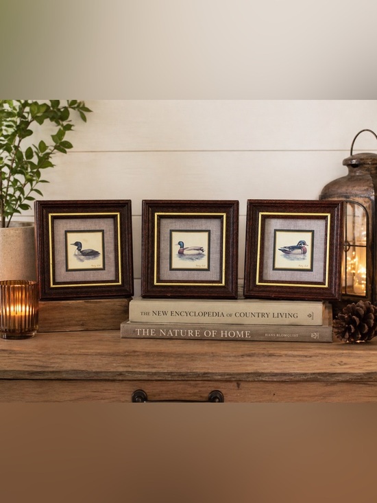 Other - Set of 3 Framed Duck Prints Rustic Cabin Lakehouse Wall Art 4x4